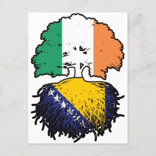 Bosnisch-irische Tree-Roots-Flagge Postkarte
