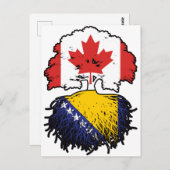 Bosnisch-Kanadische Tree-Roots-Fahne Postkarte (Vorne/Hinten)