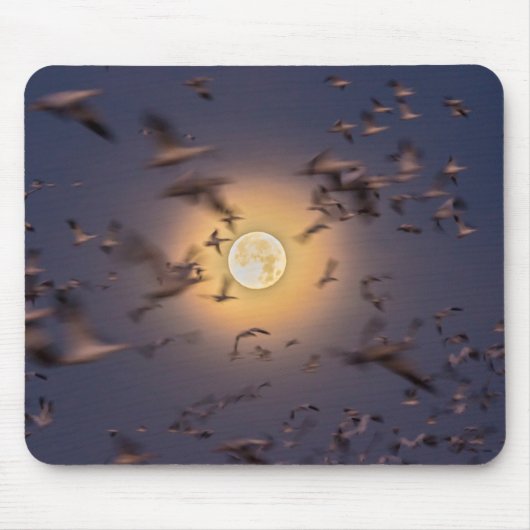 Bosque del Apache National Wildlife Refuge Mousepad (Vorne)