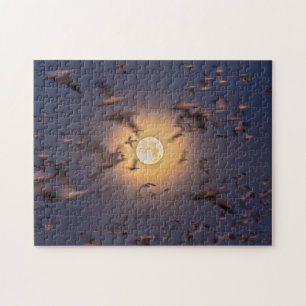 Bosque del Apache National Wildlife Refuge Puzzle