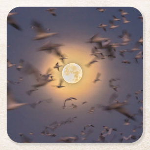 Bosque del Apache National Wildlife Refuge Rechteckiger Pappuntersetzer