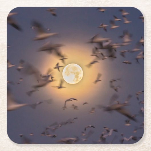 Bosque del Apache National Wildlife Refuge Rechteckiger Pappuntersetzer (Vorderseite)