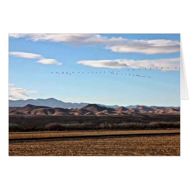 Bosque del Apache, New Mexico (Vorderseite (Horizontal))