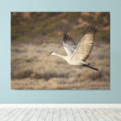 Bosque del Apache NWR Leinwanddruck (Insitu (Holzboden))