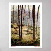 Bosque/Wald Poster (Vorne)