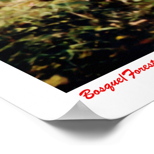 Bosque/Wald Poster (Ecke)
