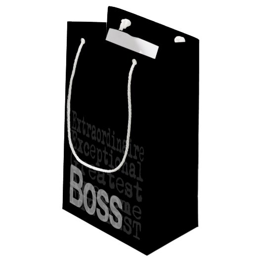 Boss Extraordinaire Kleine Geschenktüte (Rückseite Schrägansicht)