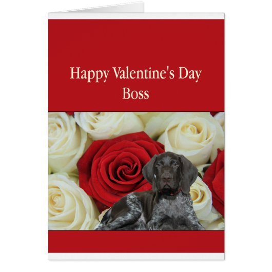 Boss Glossy Grizzy Valentine Puppy Liebe (Vorne)