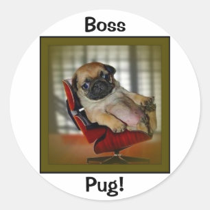 Boss Mops! Runder Aufkleber