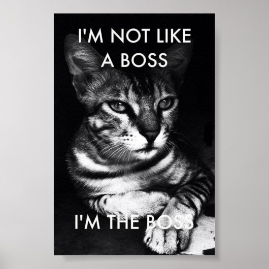 Boss Poster (Vorne)