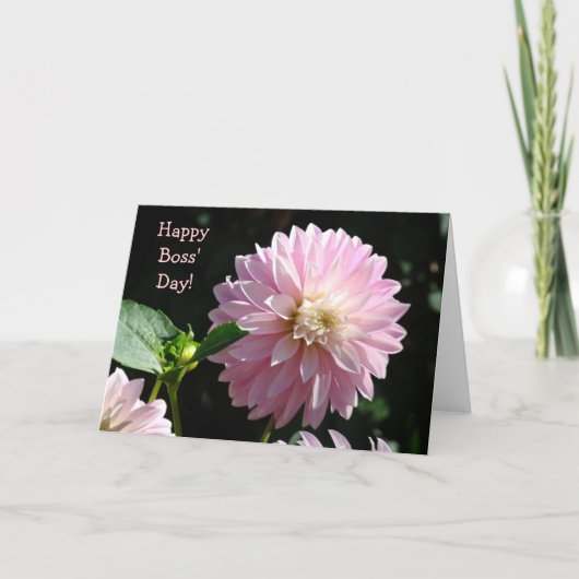 Bosses Cards Pink Dahlia Blume Happy Boss Day! Karte (Vorderseite)