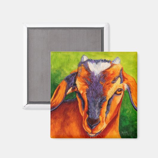 Bossy Boots - Baby Goat Magnet (Vorderseite/Rückseite)