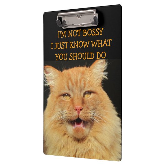 Bossy Cat ist Bossy Klemmbrett (Links)