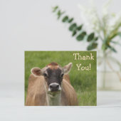Bossy Cow Vielen Dank Postcard Postkarte (Stehend Vorderseite)