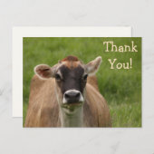 Bossy Cow Vielen Dank Postcard Postkarte (Vorne/Hinten)