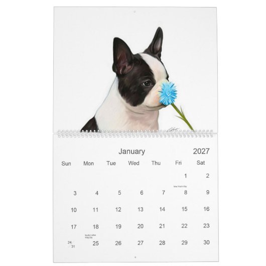 Boston-Babys 2 Kalender (Jan 2027)