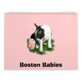 Boston-Babys 2 Kalender (Titelbild)
