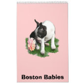 Boston-Babys Kalender (Titelbild)