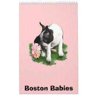 Boston-Babys Kalender
