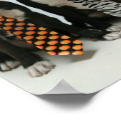 Boston Brüder ポ ス タ Poster (Ecke)