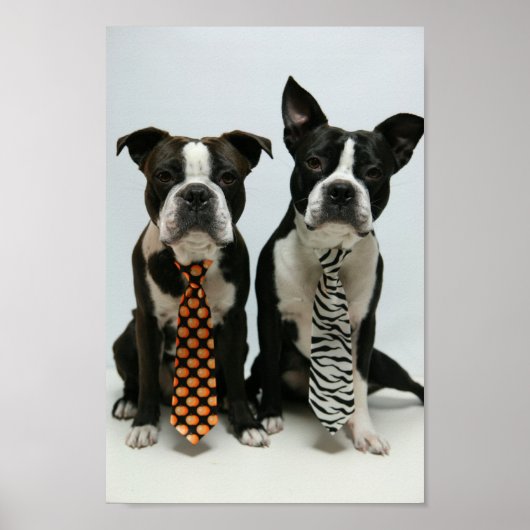 Boston Brüder ポ ス タ Poster (Vorne)