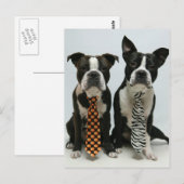 Boston Brüder Postkarten (Vorne/Hinten)