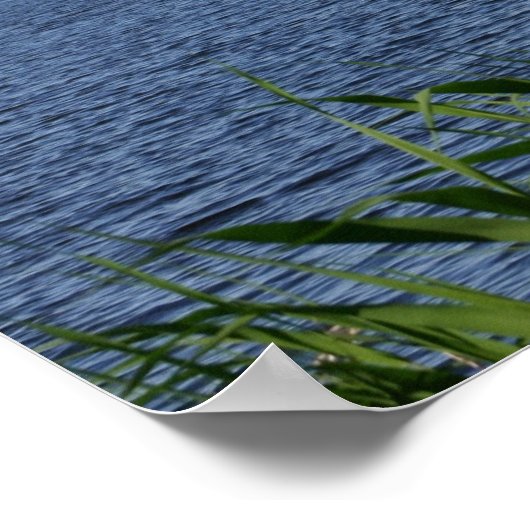 Boston Charles River Poster (Ecke)