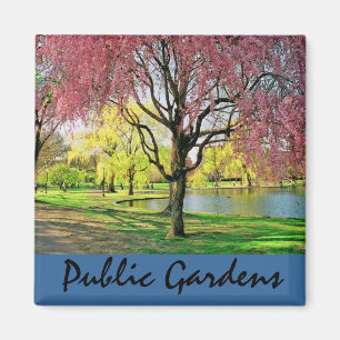Boston-Common-Magnet Magnet