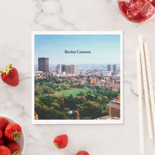 Boston Common, öffentlicher Park, Serviette (Beispiel)