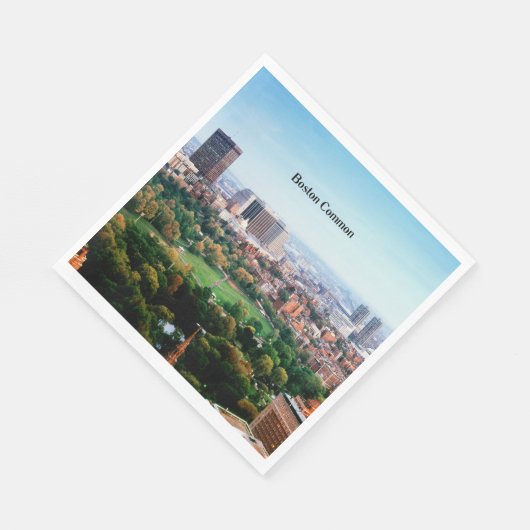 Boston Common, öffentlicher Park, Serviette (Ecke)