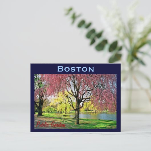 Boston Common Postcard - Maßgeschneiderte Postkarte (Stehend Vorderseite)