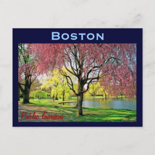 Boston Common Postcard - Maßgeschneiderte Postkarte