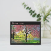 Boston Common Postcard Postkarte (Stehend Vorderseite)