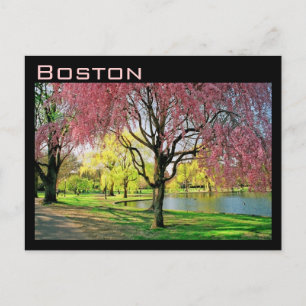 Boston Common Postcard Postkarte