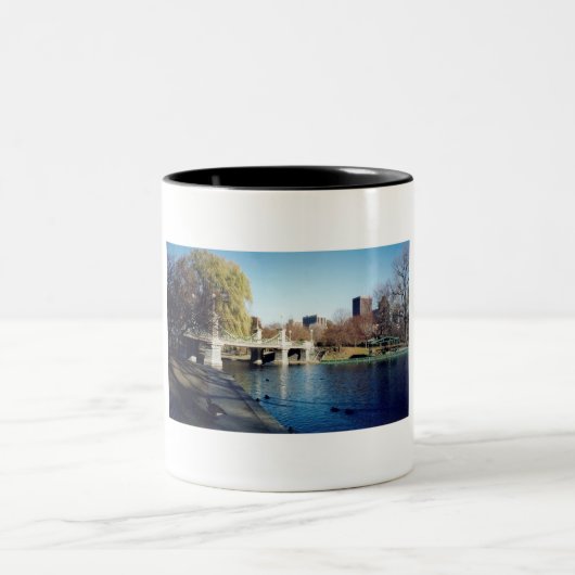 Boston Common Zweifarbige Tasse (Mittel)
