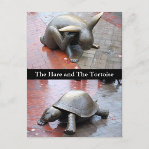 Boston - Der Hase und die Tortoise Postkarte