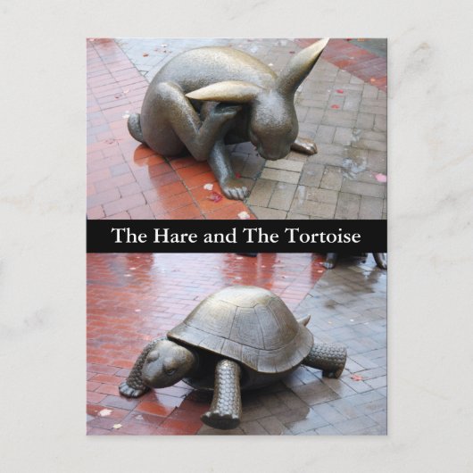 Boston - Der Hase und die Tortoise Postkarte (Vorderseite)
