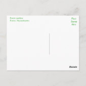 Boston Gardens, Boston Massachusetts Post Card Postkarte (Rückseite)