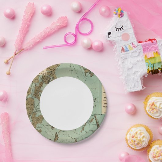 Boston-Hafen Pappteller (Party)