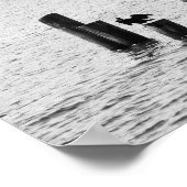 Boston Harbour Birds Poster (Ecke)