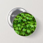 Boston Ivy Abzeichen Button (Vorne & Hinten)