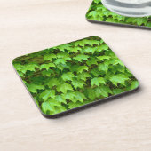 Boston Ivy Getränkeuntersetzer (Linke Seite)