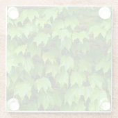 Boston Ivy Glasuntersetzer (Rückseite)