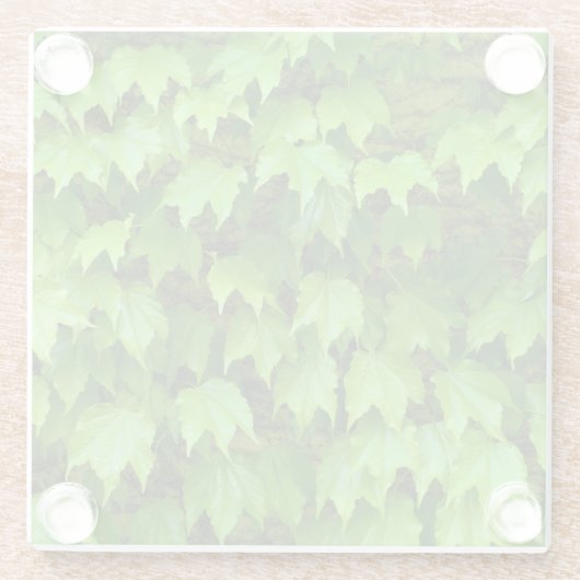 Boston Ivy Glasuntersetzer (Rückseite)