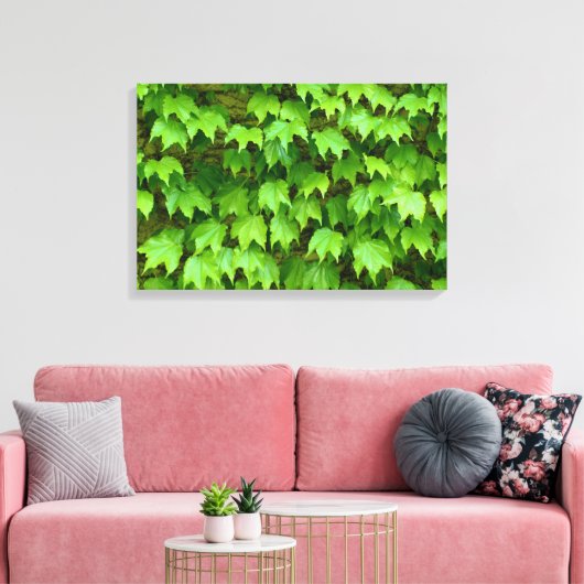 Boston Ivy Leinwanddruck (Insitu (Wohnzimmer))