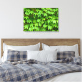 Boston Ivy Leinwanddruck (Insitu (Schlafzimmer))