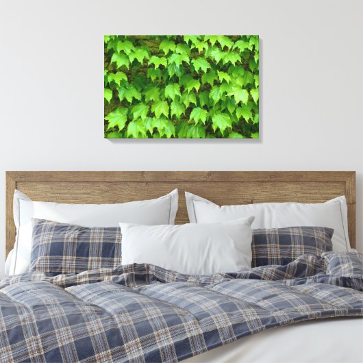 Boston Ivy Leinwanddruck (Insitu (Schlafzimmer))