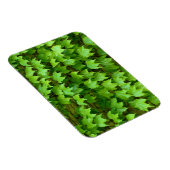 Boston Ivy Magnet (Rechte Seite)