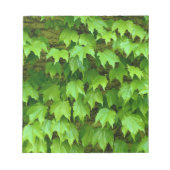 Boston Ivy Notizblock (Vorderseite)