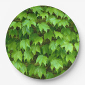 Boston Ivy Paper Plate Pappteller (Vorderseite)